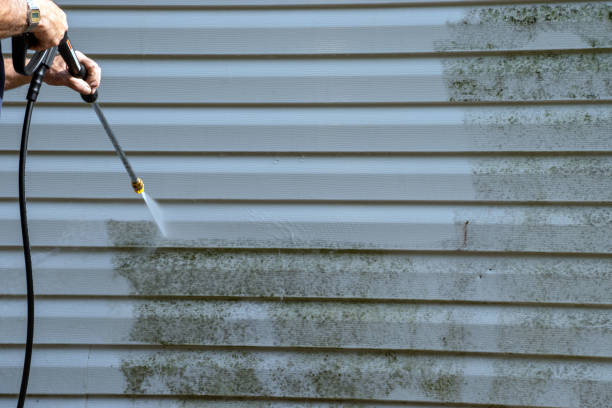 Best Shed Removal  in Fowler, MI