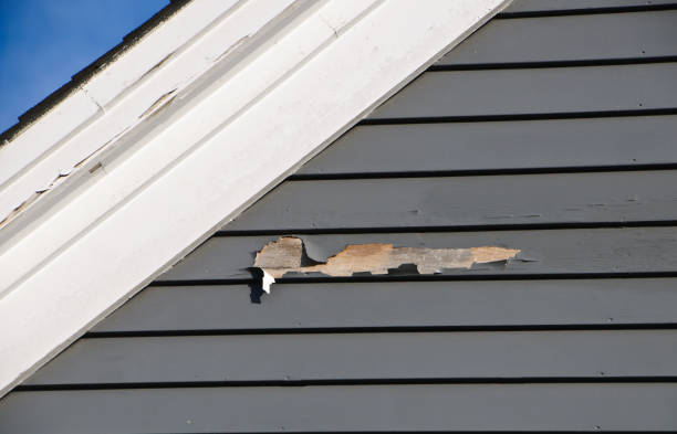 Best Attic Cleanout  in Fowler, MI